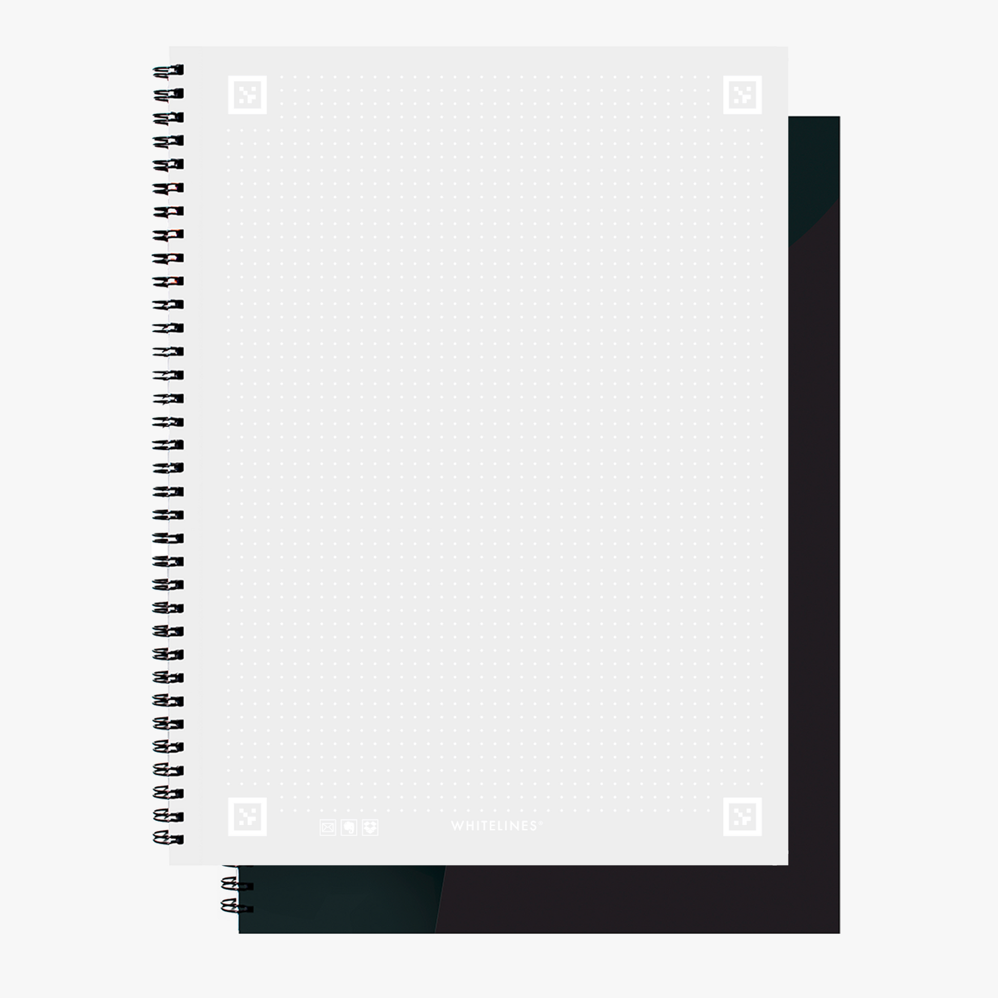 The white lines with dots, perfect for writing or drawing. 